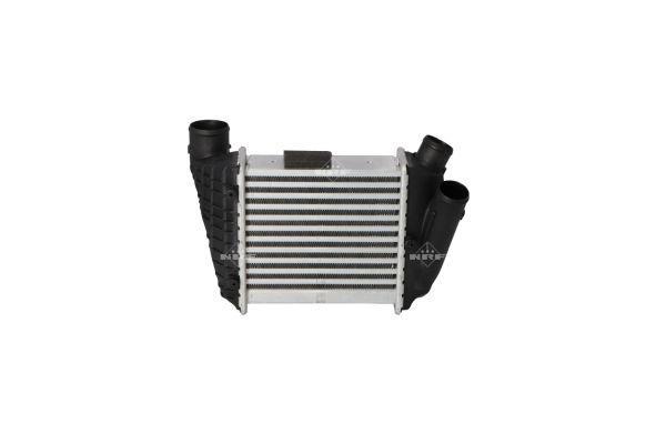 Radiador de admisión, intercooler NRF B.V. ref. 30754