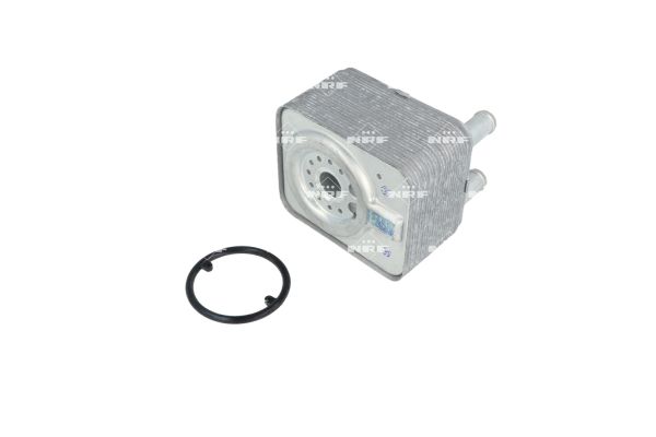 Radiador de aceite, aceite motor NRF B.V. ref. 31168