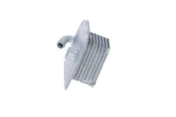 Radiador óleo motor NRF B.V. ref. 31761