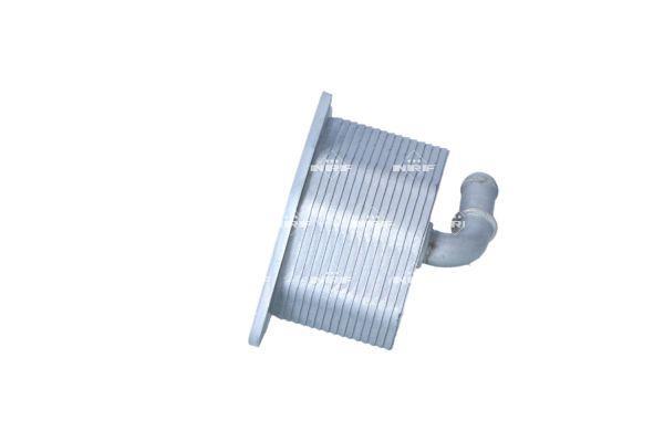 Radiateur d'huile moteur (Refroidisseur d'huile moteur) NRF B.V. 31860