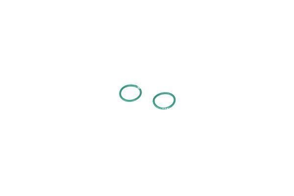 Compresseur, climatisation NRF B.V. ref. 32033