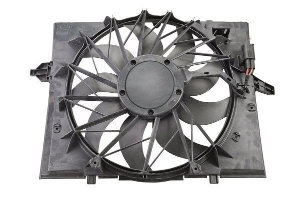 Butée hydraulique Coupé