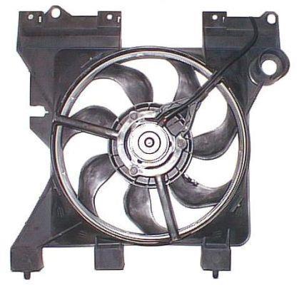 Butée hydraulique Coupé