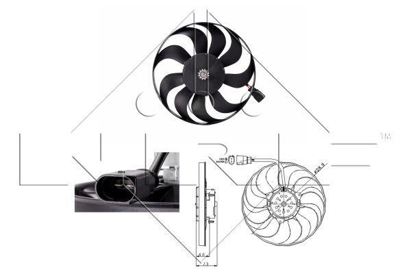 Butée hydraulique Ion