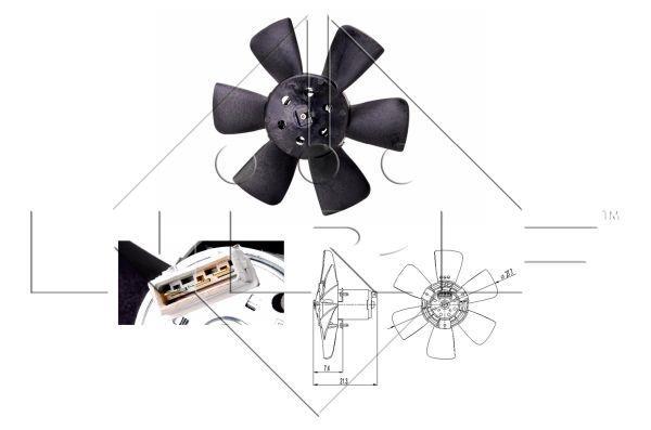 Butée hydraulique Coupé