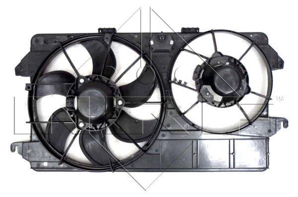 Butée hydraulique Ion