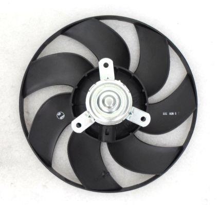 Butée hydraulique Coupé