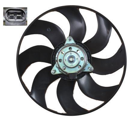 Butée hydraulique Ion