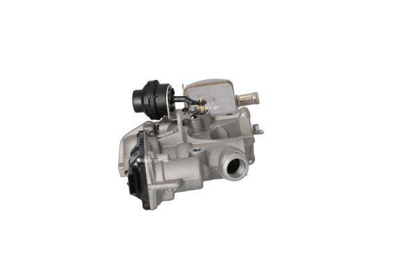 Module-EGR NRF B.V. 48208