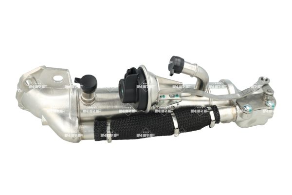 Radiateur, réaspiration des gaz d'échappement NRF B.V. 48431