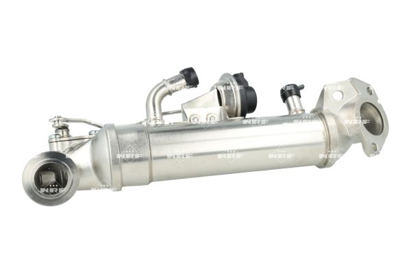 Radiateur, réaspiration des gaz d'échappement NRF B.V. 48431