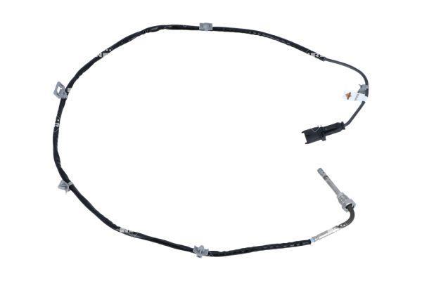 Sonda de temperatura a gás NRF B.V. ref. 707026