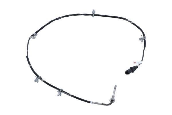 Sonda de temperatura a gás NRF B.V. ref. 707105