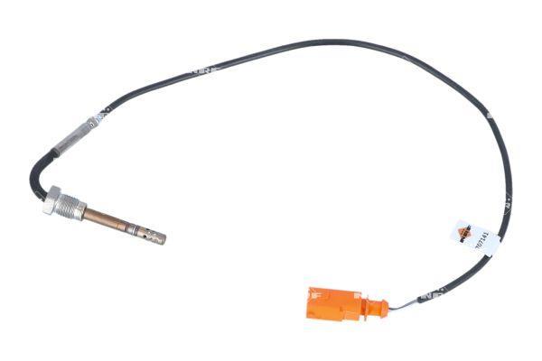 Sonda de temperatura a gás NRF B.V. ref. 707141