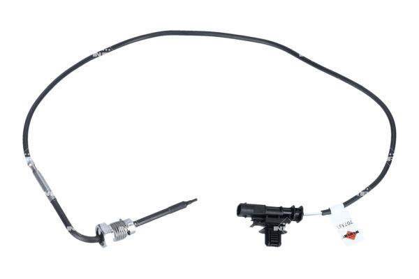 Sonda de temperatura a gás NRF B.V. ref. 707331