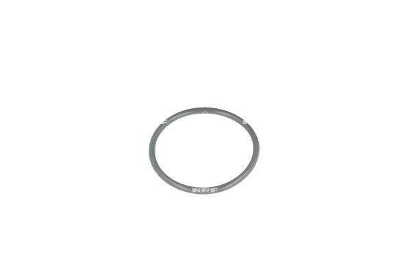 Thermostat d'eau (Calorstat) NRF B.V. ref. 725003