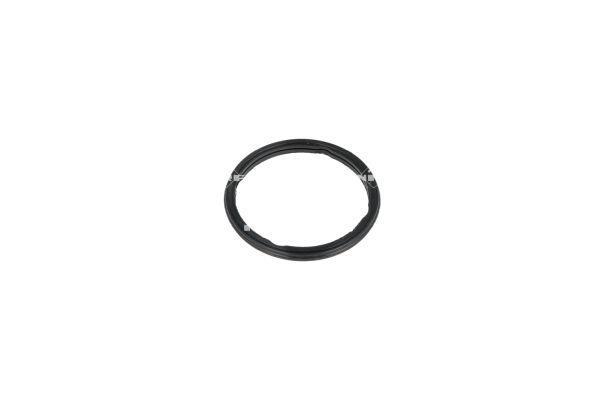 Thermostat d'eau (Calorstat) NRF B.V. 725012