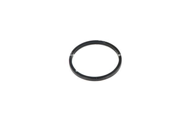 Thermostat d'eau (Calorstat) NRF B.V. 725016