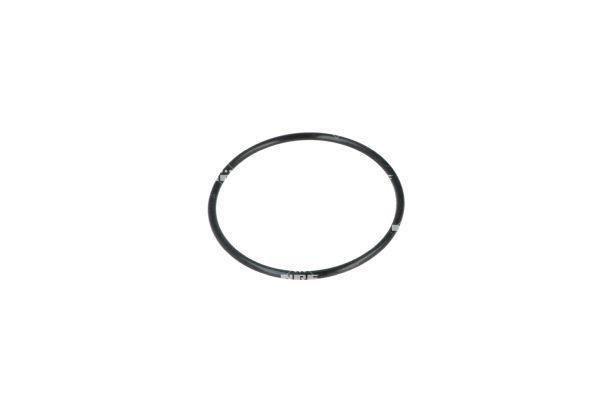 Thermostat d'eau (Calorstat) NRF B.V. 725018