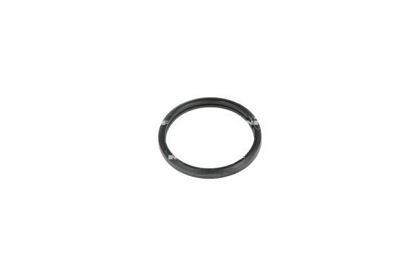 Thermostat d'eau (Calorstat) NRF B.V. ref. 725026
