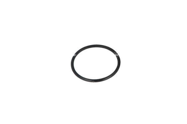 Thermostat d'eau (Calorstat) NRF B.V. 725028
