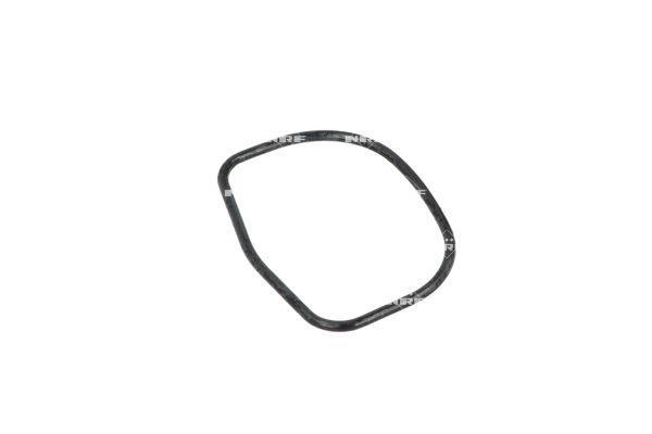 Thermostat d'eau (Calorstat) NRF B.V. 725034