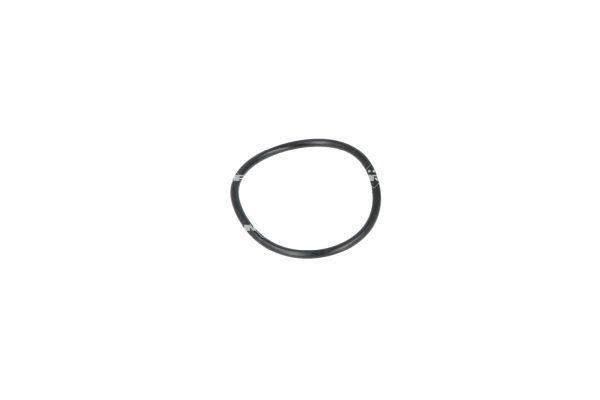 Thermostat d'eau (Calorstat) NRF B.V. 725055