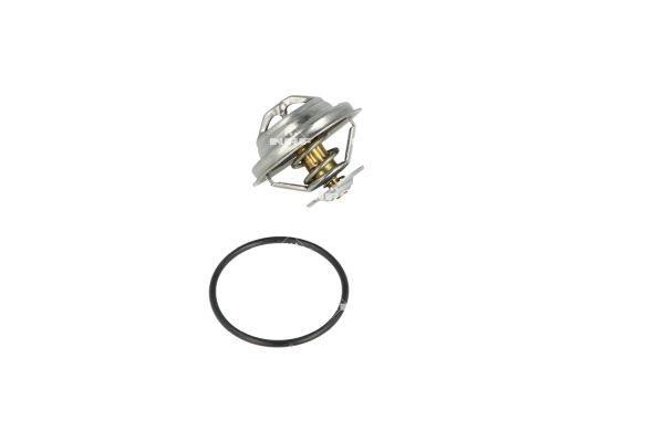 Thermostat d'eau (Calorstat) NRF B.V. ref. 725063