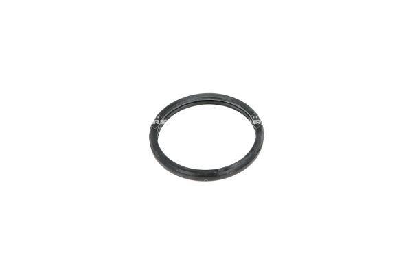 Thermostat d'eau (Calorstat) NRF B.V. 725065