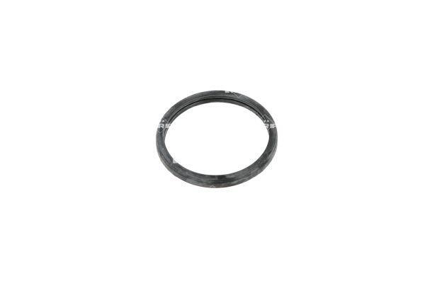 Thermostat d'eau (Calorstat) NRF B.V. ref. 725066