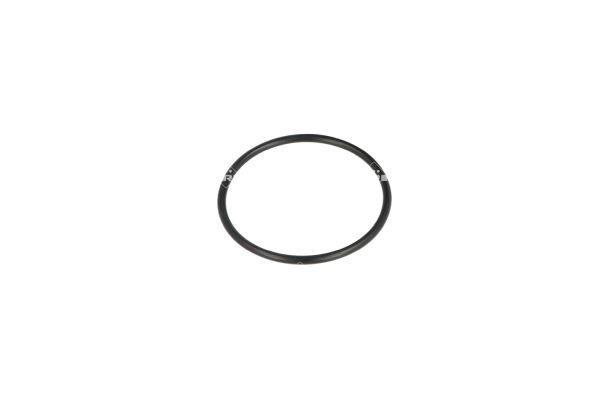 Thermostat d'eau (Calorstat) NRF B.V. 725075
