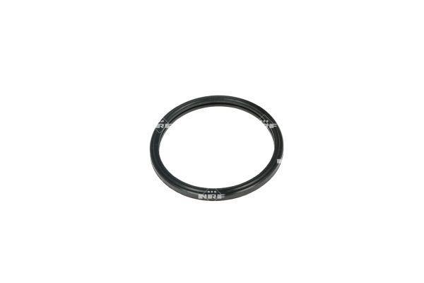 Thermostat d'eau (Calorstat) NRF B.V. ref. 725097