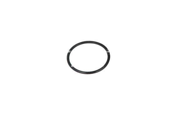 Thermostat d'eau (Calorstat) NRF B.V. 725113