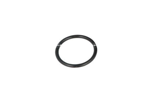 Termostato, refrigerante NRF B.V. ref. 725116