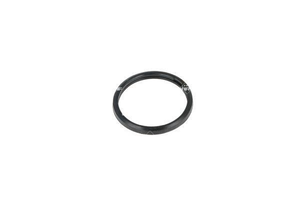 Thermostat d'eau (Calorstat) NRF B.V. 725154