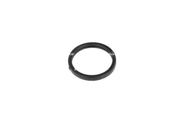 Thermostat d'eau (Calorstat) NRF B.V. 725159