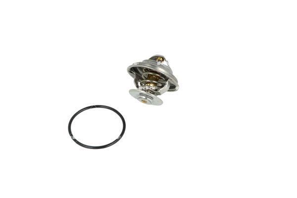 Thermostat d'eau (Calorstat) NRF B.V. ref. 725184