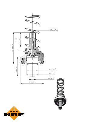 Thermostat d'eau (Calorstat) NRF B.V. ref. 725203