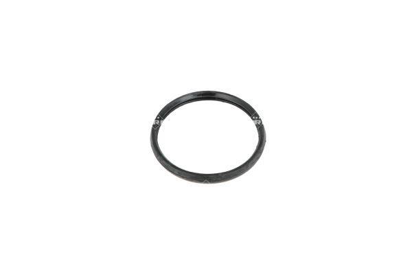 Thermostat d'eau (Calorstat) NRF B.V. 725208