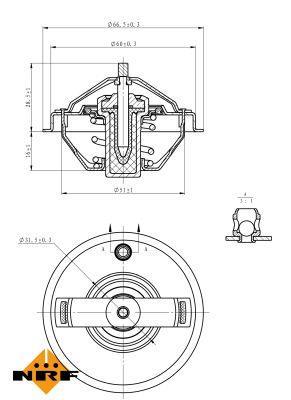 Thermostat d'eau (Calorstat) NRF B.V. ref. 725210