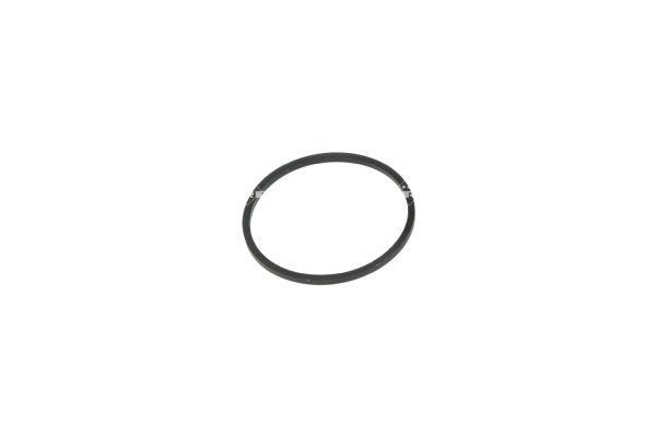 Thermostat d'eau (Calorstat) NRF B.V. 725234