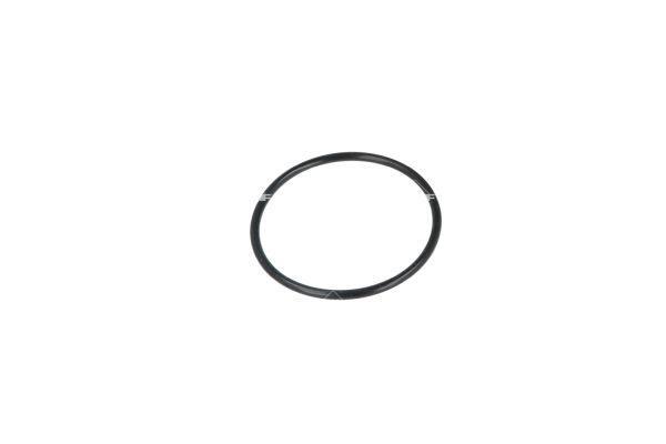 Thermostat d'eau (Calorstat) NRF B.V. 725256