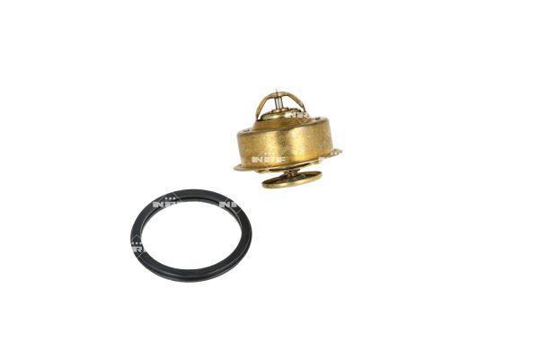 Thermostat d'eau (Calorstat) NRF B.V. 725267