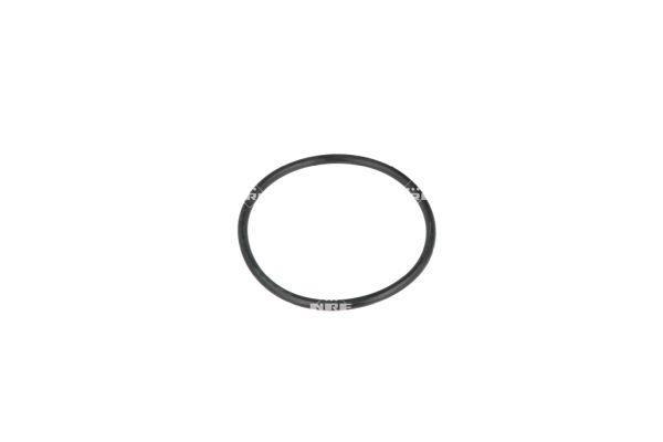 Thermostat d'eau (Calorstat) NRF B.V. 725290