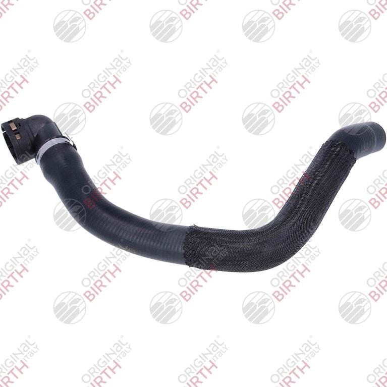 Durite de radiateur (Durite de refroidissement) ORIGINAL BIRTH 54532