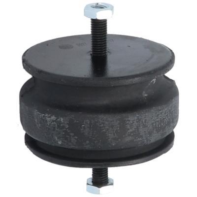 Support moteur (Silent bloc moteur) ORIGINAL BIRTH 5527