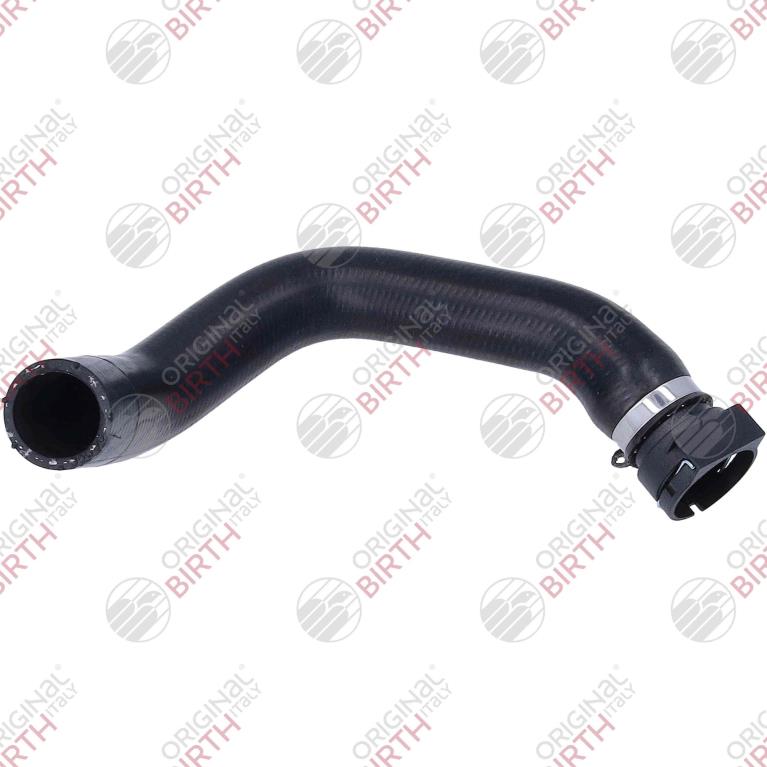 Durite de radiateur (Durite de refroidissement) ORIGINAL BIRTH 55426