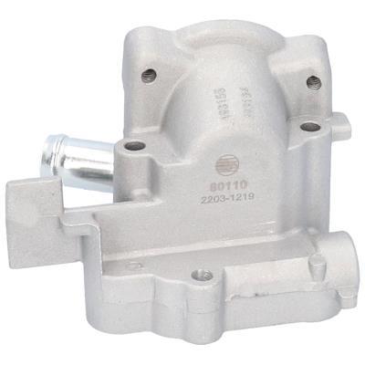 Bride de liquide de refroidissement ORIGINAL BIRTH 80110