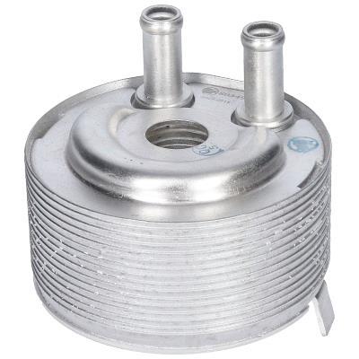Radiador óleo motor ORIGINAL BIRTH ref. 80349