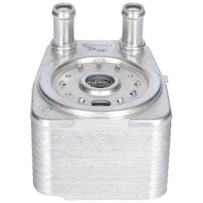 Radiador óleo motor ORIGINAL BIRTH ref. 80351